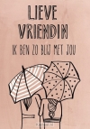 Productafbeelding Wenskaart Lieve vriendin