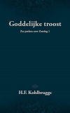 Productafbeelding Goddelijke troost