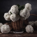 Productafbeelding Kaart mand hortensia's