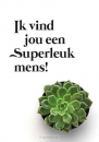 Productafbeelding Minikaart super leuk mens