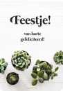 Productafbeelding Minikaart feestje van harte gefeliciteer