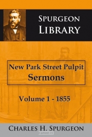 Productafbeelding New park street pulput sermons vol 1