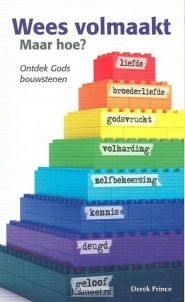 Productafbeelding Wees volmaakt maar hoe?