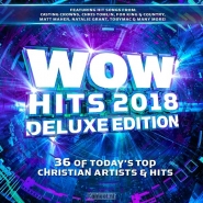 Productafbeelding WOW Hits 2018 Deluxe