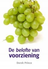 Productafbeelding De belofte van voorziening